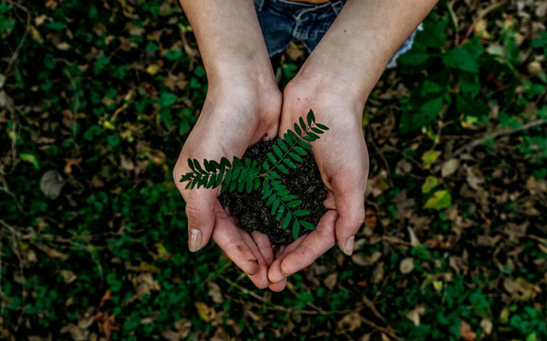 How God Uses Creation to Reveal His Nature